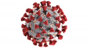 Image of Corona-19 virus.